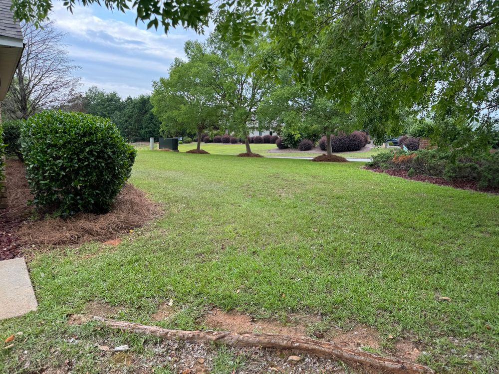 All Photos for Camalett Services in Perry, GA