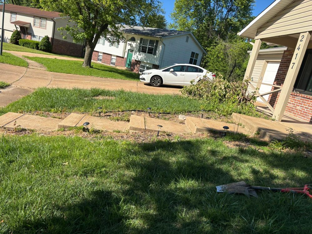 All Photos for Jackson Lawn Services LLC in St Louis, MO
