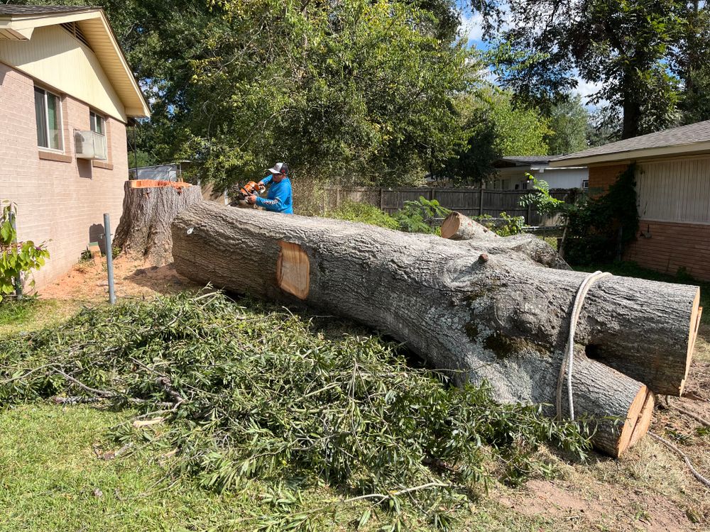 All Photos for JC Land and Tree Service in Kilgore, TX