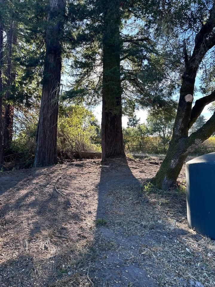 All Photos for J. Orozco & Sons Ent in Philo, CA