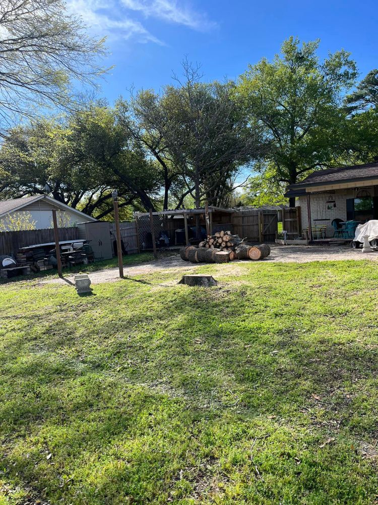 Our professional stump removal service will safely and effectively eliminate unsightly stumps left behind after trees are cut down, leaving your yard looking clean, tidy, and ready for new landscaping. for Banda’s Tree Service And Lawn Care in Tyler, TX