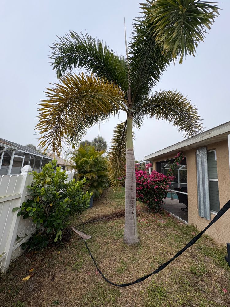 All Photos for R&R GreenWorks in North Port, FL