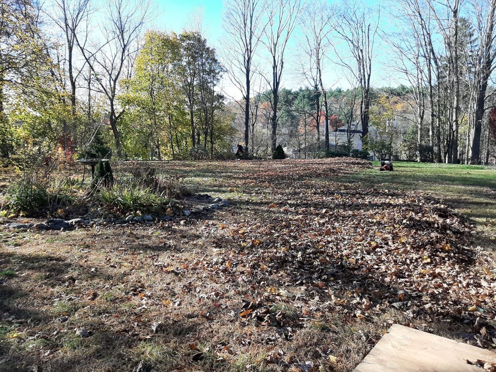 Our Fall Clean Up service ensures a pristine yard by removing leaves, debris, and decayed plants, preparing your landscape for winter and maintaining the health of your lawn throughout the colder months. for Romero Máster Landscaping in Lunenburg, MA