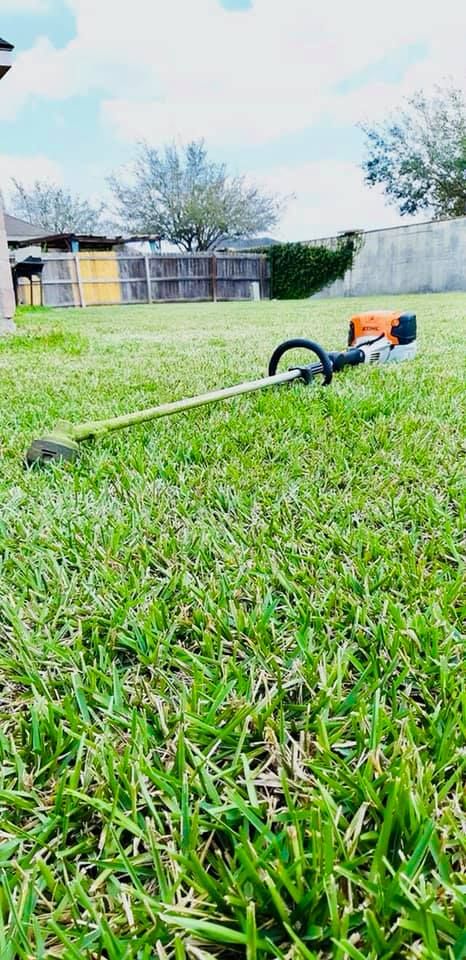 Fall and Spring Clean Up for Del Real Landscape Contractors LLC in Del Rio, TX