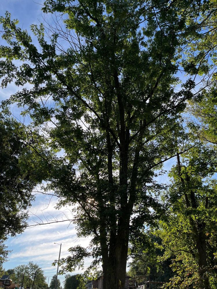 All Photos for Baker Professional Services LLC in Shelbina, MO