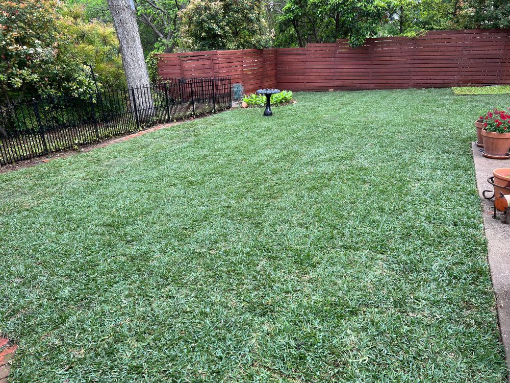 Lawn Care for Cortez Landscaping Services in Mesquite, TX