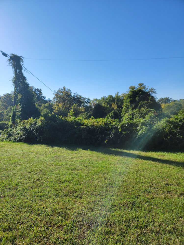 All Photos for Z's Land Management & Forestry Mulching in Smithville, TN