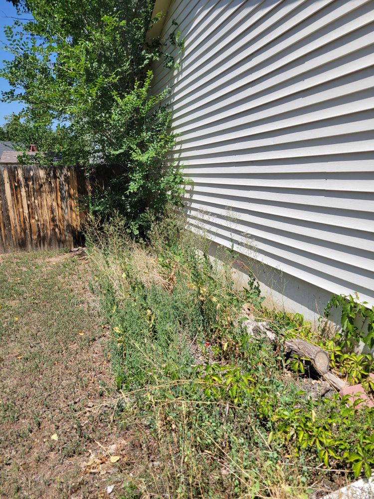 All Photos for JS Landscaping Colorado in Denver, CO