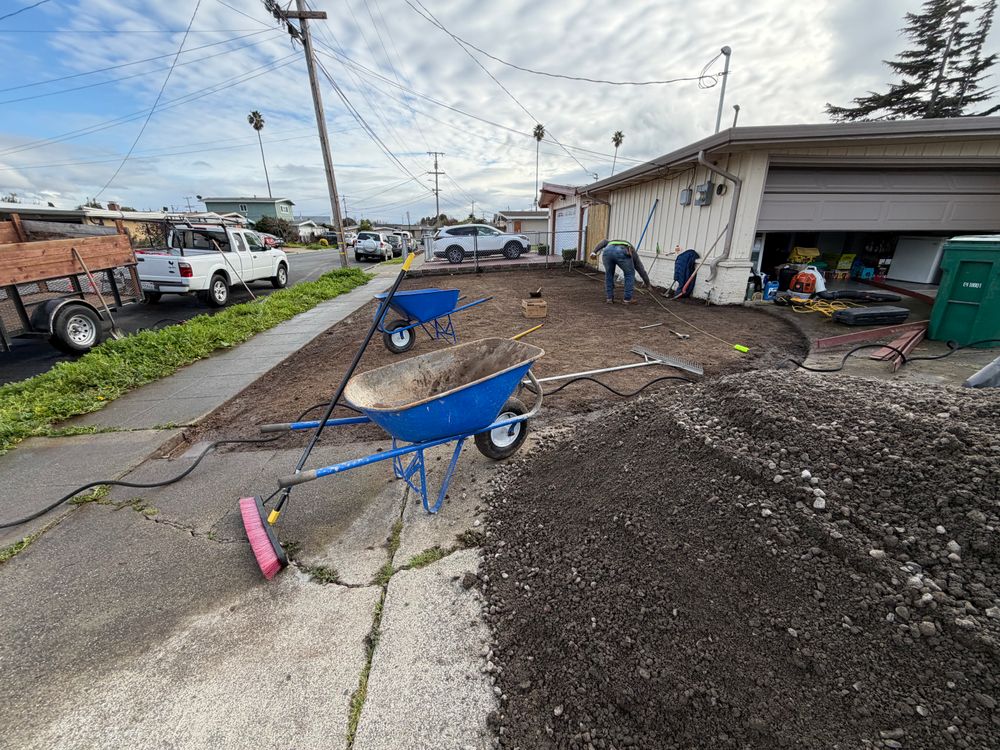All Photos for CBA Landscaping in Hayward, CA