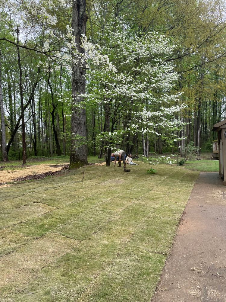 All Photos for Palmetto State Landscaping in Gaffney, SC