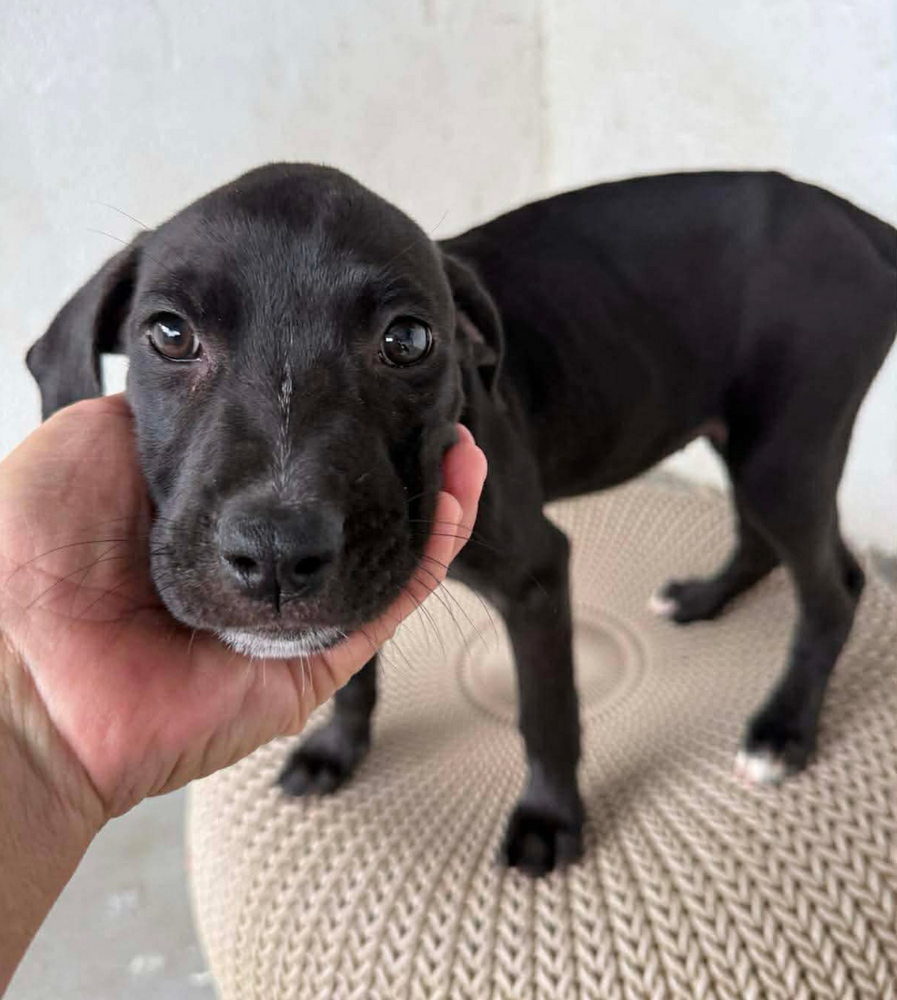 All Photos for Sullivan Sanctuary of Maine in Brunswick, ME