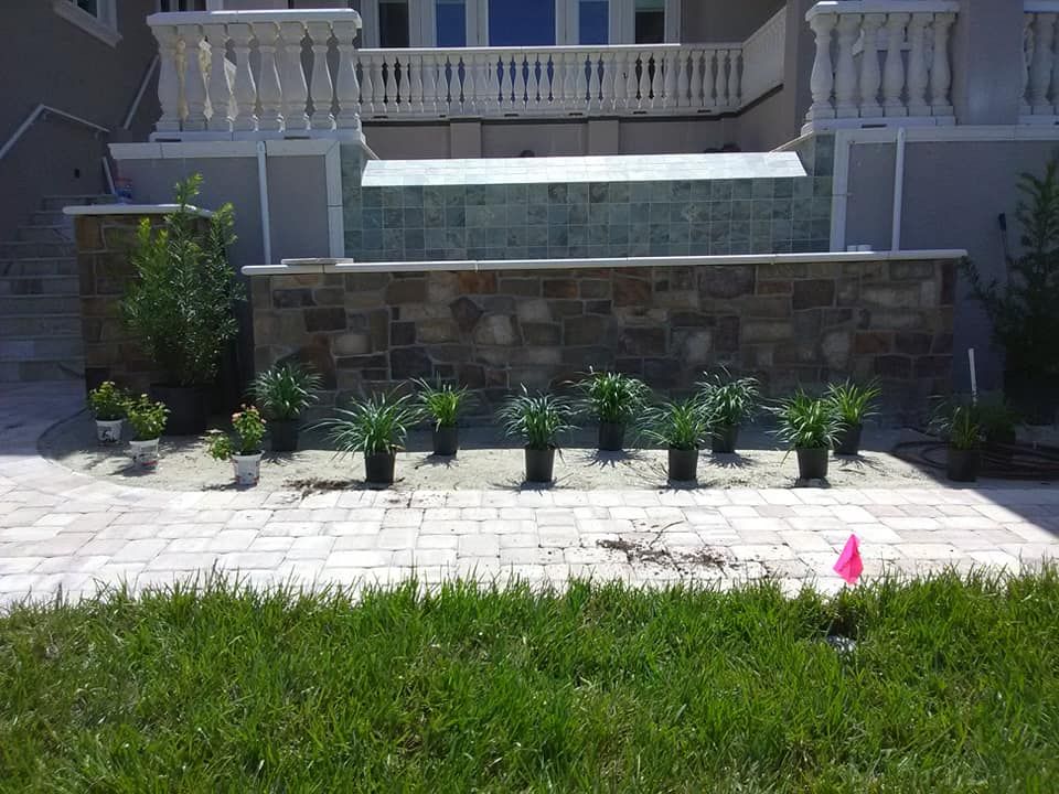 All Photos for Alpha Trees Service and Property Management in Port Charlotte, FL