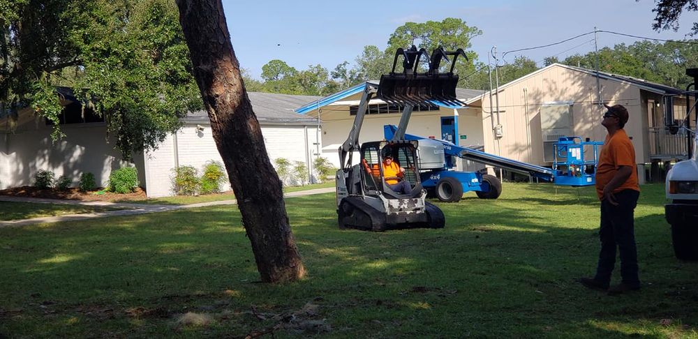 Tree Removal for Daniel Hickey’s Tree Service in DeLand, FL