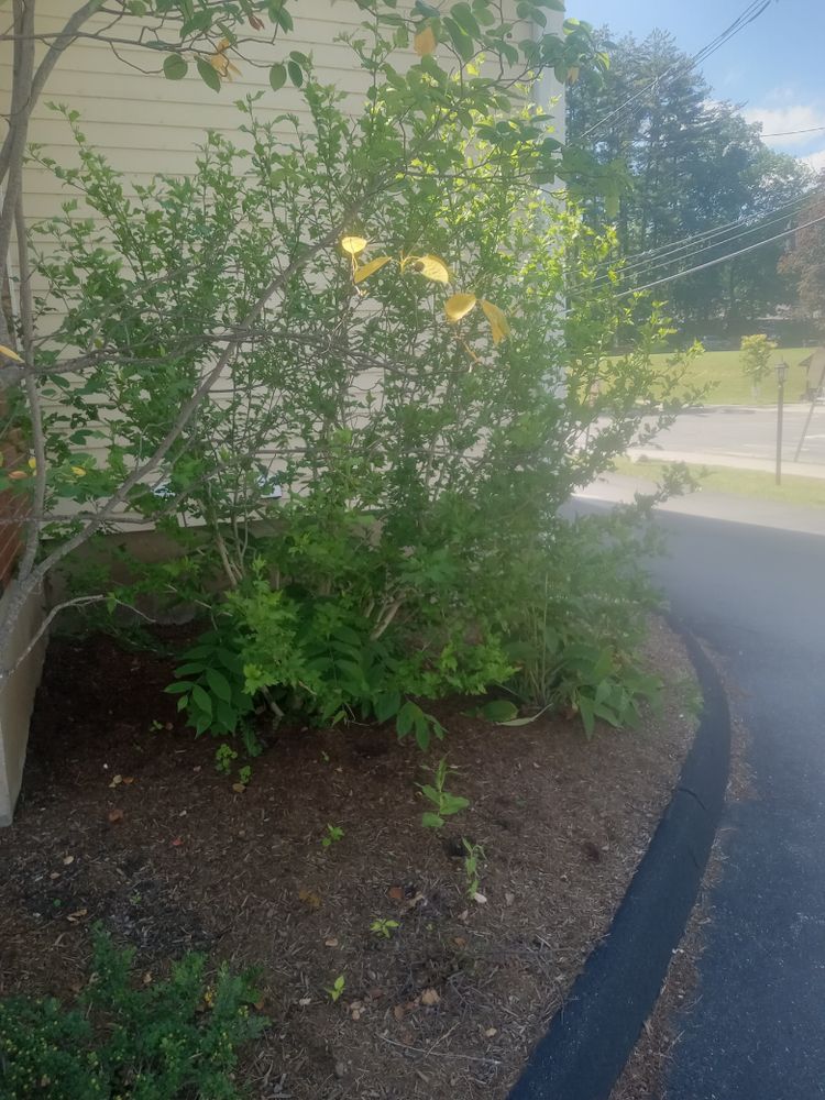 All Photos for K Brown's Property Maintenance in Pittsfield, MA