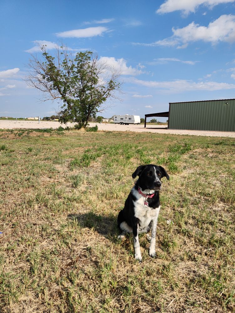 All Photos for Prairie Land Properties LLC in Lubbock, TX