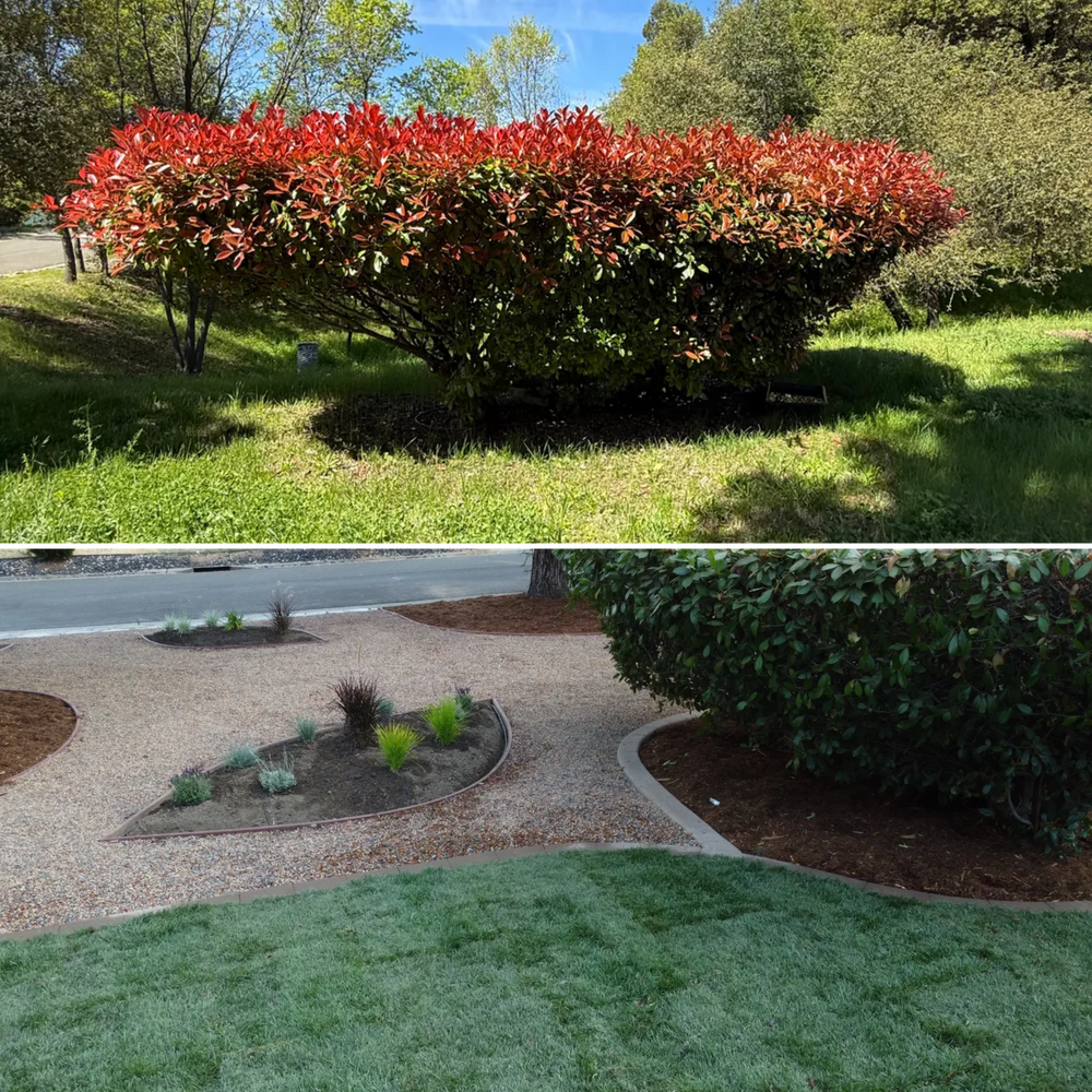 All Photos for Diamond Landscape & Hardscape in Diamond Springs, CA
