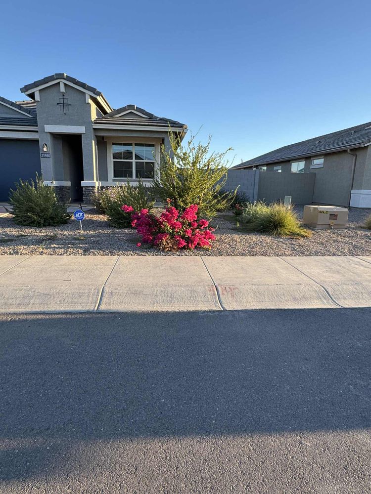 All Photos for Good Hands Landscape in Maricopa, AZ