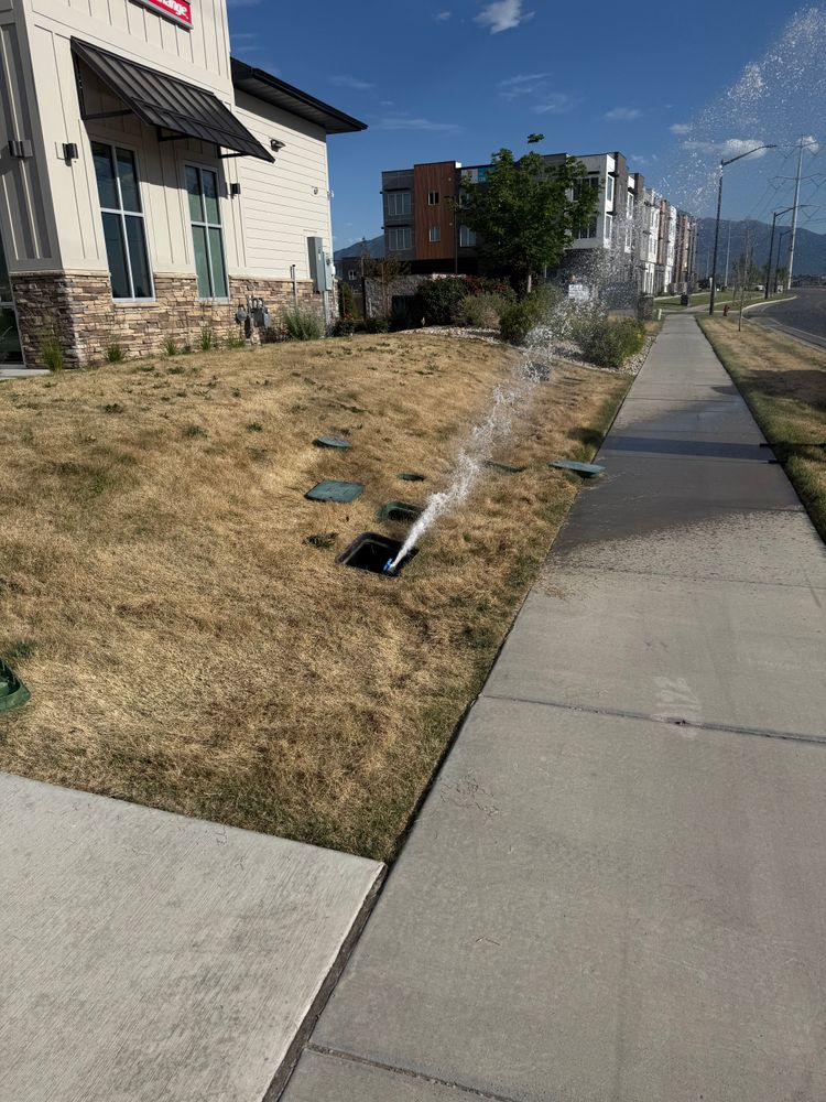 All Photos for Platinum Lawn Service in Santaquin, UT
