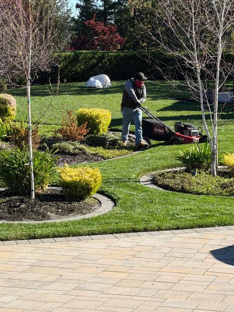 Transform your outdoor space with our professional Lawn Maintenance service, ensuring a lush, healthy lawn through expert care and regular upkeep tailored to your landscape’s unique needs. for CBA Landscaping in Hayward, CA