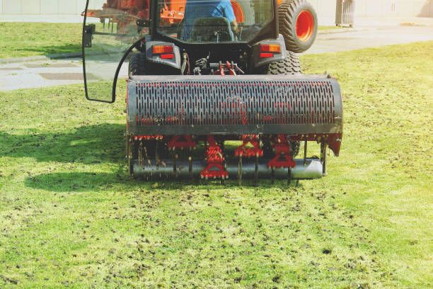Our Lawn Aeration service improves soil airflow, water absorption, and root growth for a healthier yard. We also recommend lawn dethatching to remove buildup and help your grass thrive. for Amerigreen Lawn & Landscape in Duluth, GA