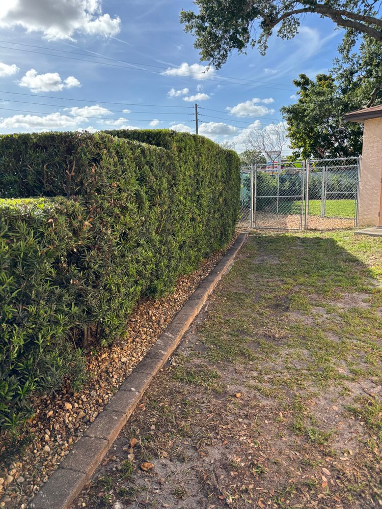 All Photos for Space Coast Property Maintenance and Management LLC in Melbourne, FL