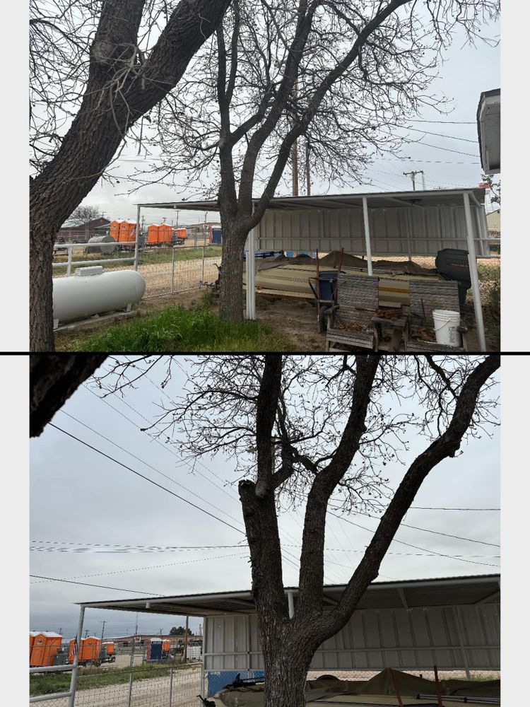 Tree Removal for Compas Cleanup in McCamey, TX