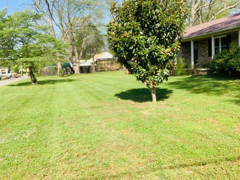 All Photos for Apex Lawn & Landscaping INC in Dyersburg, TN