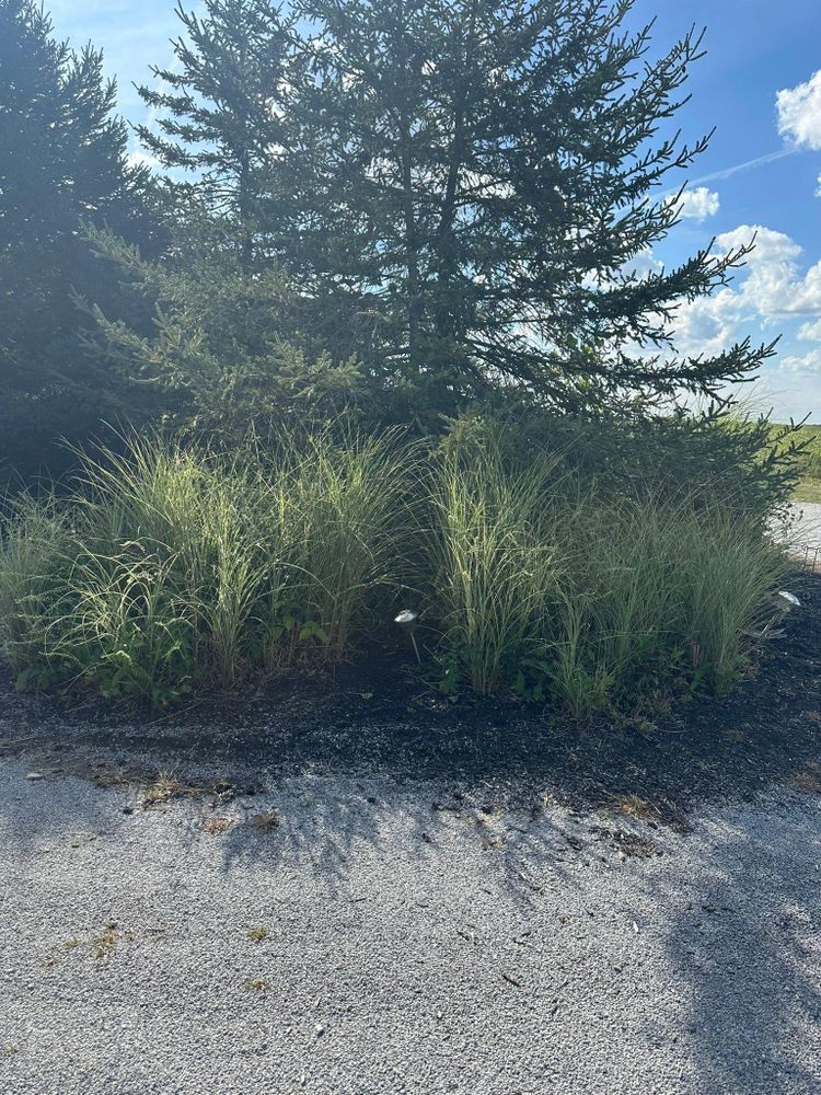 All Photos for OT Lawn and Landscaping LLC in Carey, OH