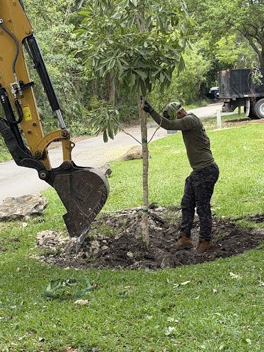 All Photos for Nurry Tree Services in Miami, FL