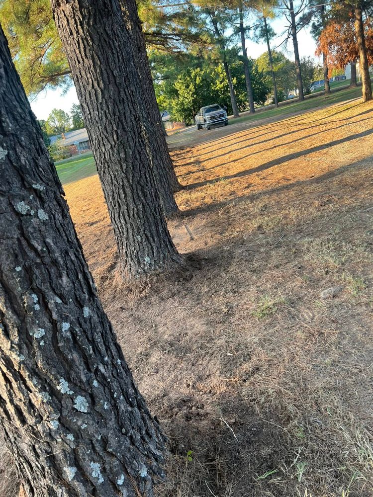 Landscaping  for Zac’s Lawn and Landscaping in Fort Smith, AR