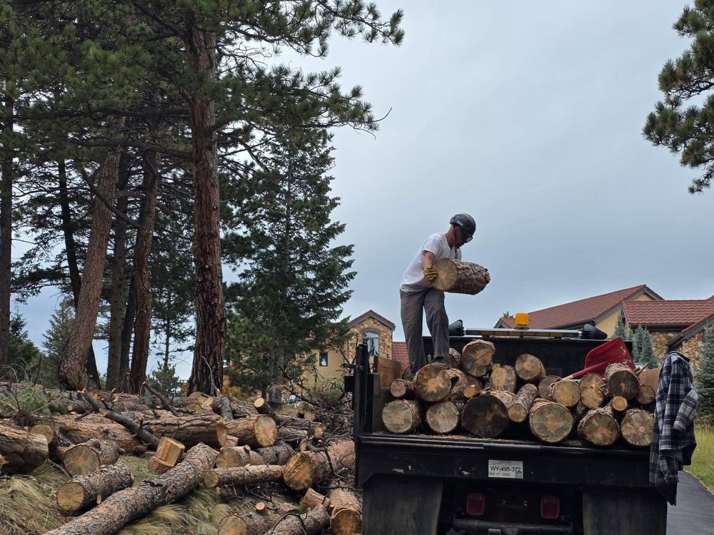 All Photos for Family Tree & Landscape in Aurora, CO