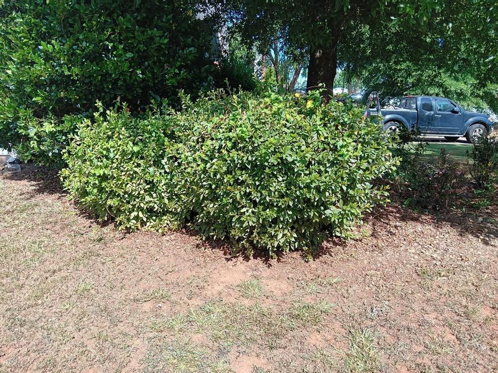 Landscaping for Worsham Landscaping and Pressure Washing LLC in Social Circle, GA