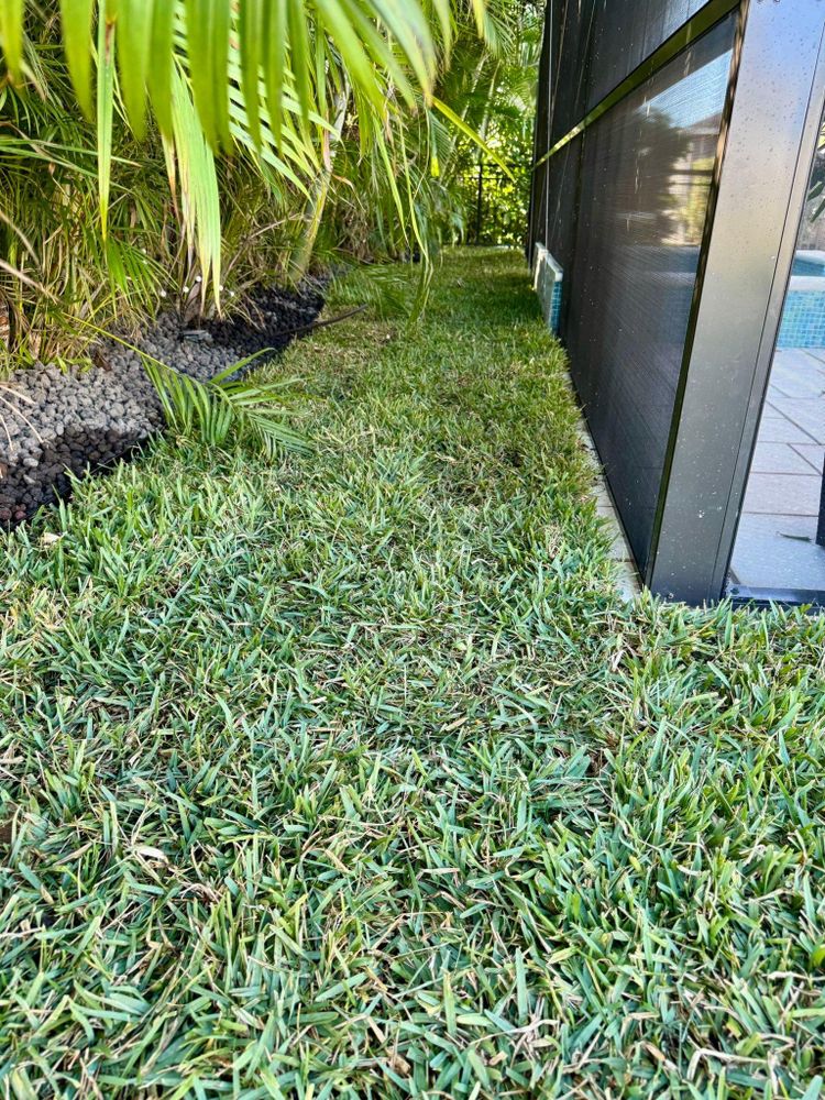 All Photos for Shoreside Property Services in Apollo Beach, FL