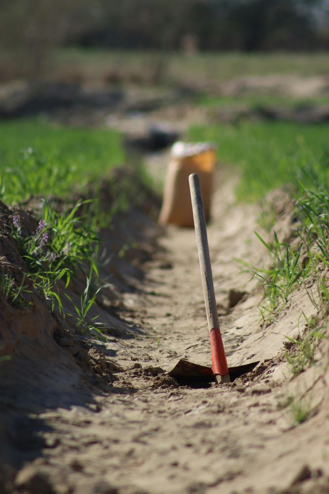 All Photos for Elite Seed and Erosion LLC in McDade, TX