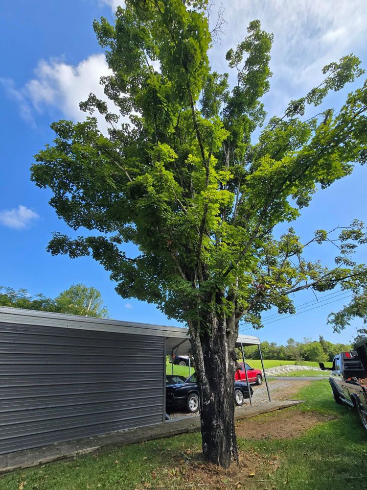 All Photos for M&L Lumber and Excavating in Jonesborough, TN