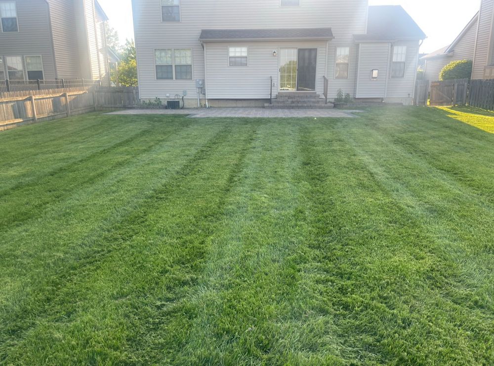 All Photos for Clean Green Lawns LLC in Dayton, OH