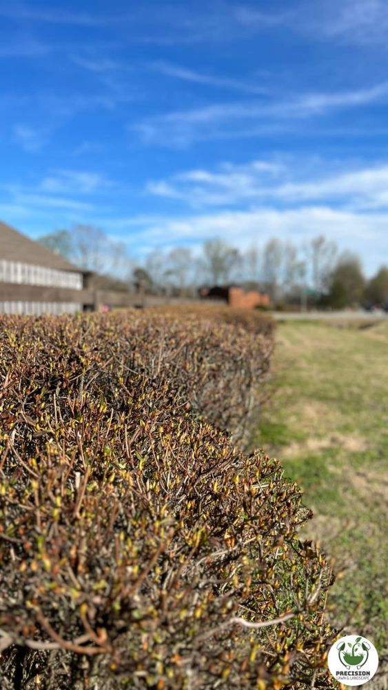 All Photos for Precision Lawn & Landscape in Florence,  AL