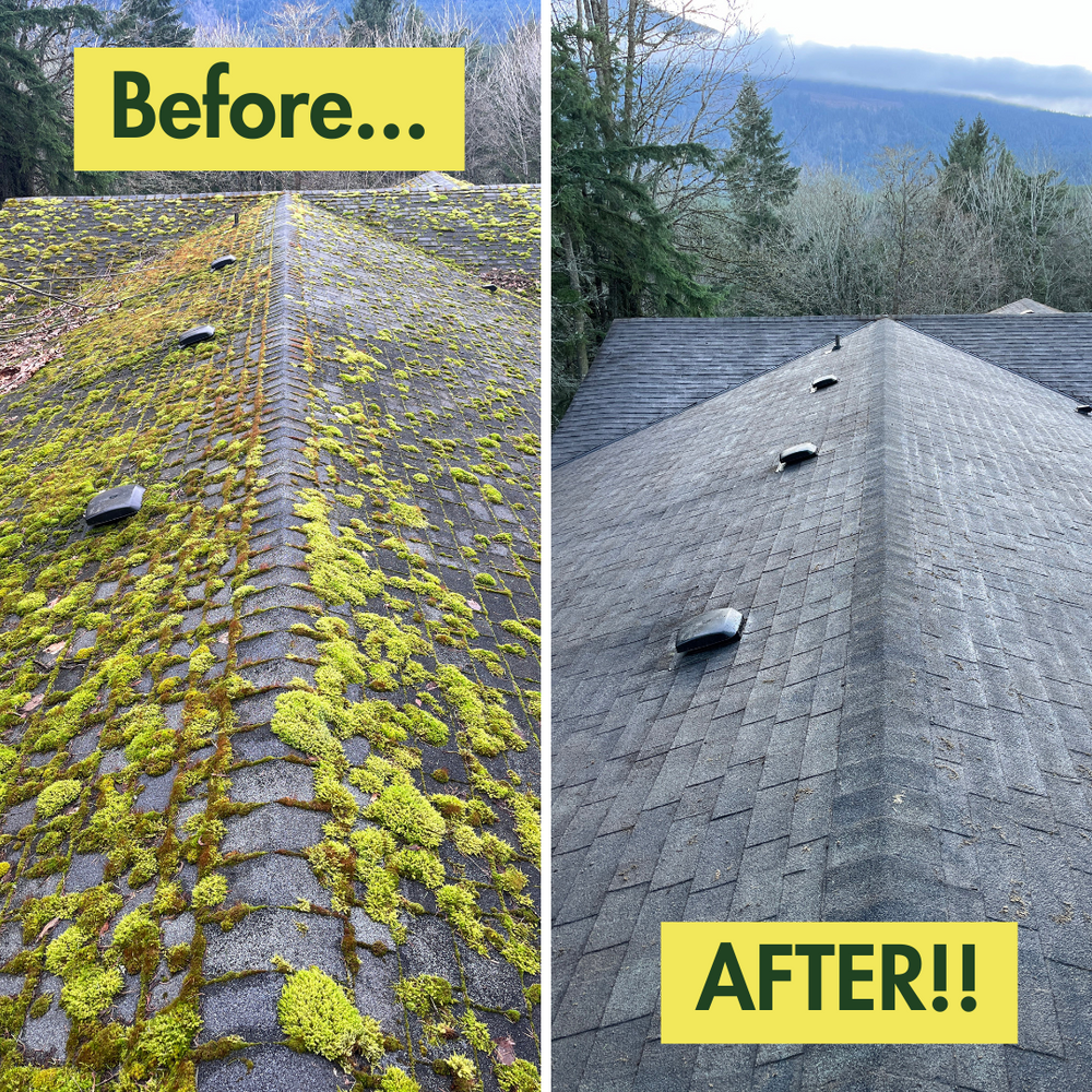 Before & After Photos for Swift Serve in Coeur d'Alene, ID