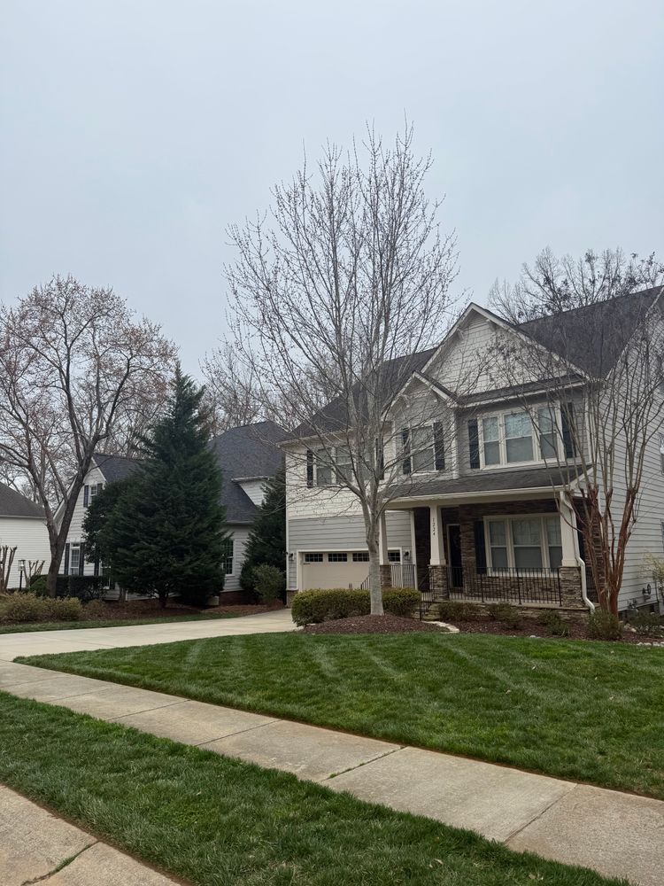 All Photos for Blue Sky Turf in Monroe, NC