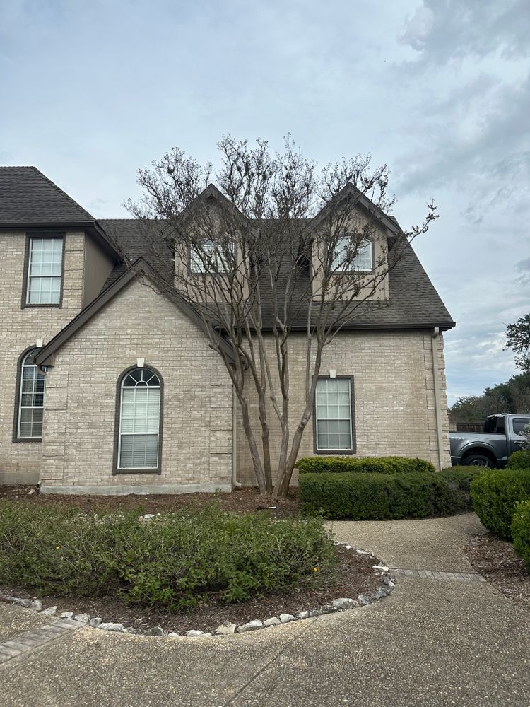 All Photos for GEOS Painting in New Braunfels, TX