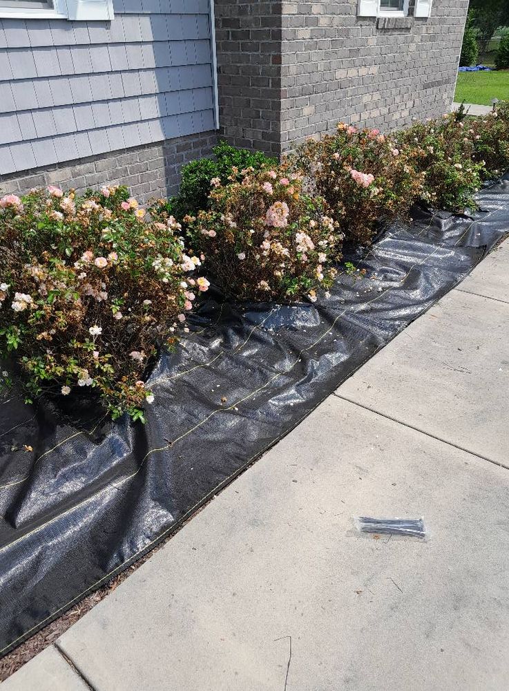 All Photos for Handy Al's Landscaping LLC in Greenville, NC