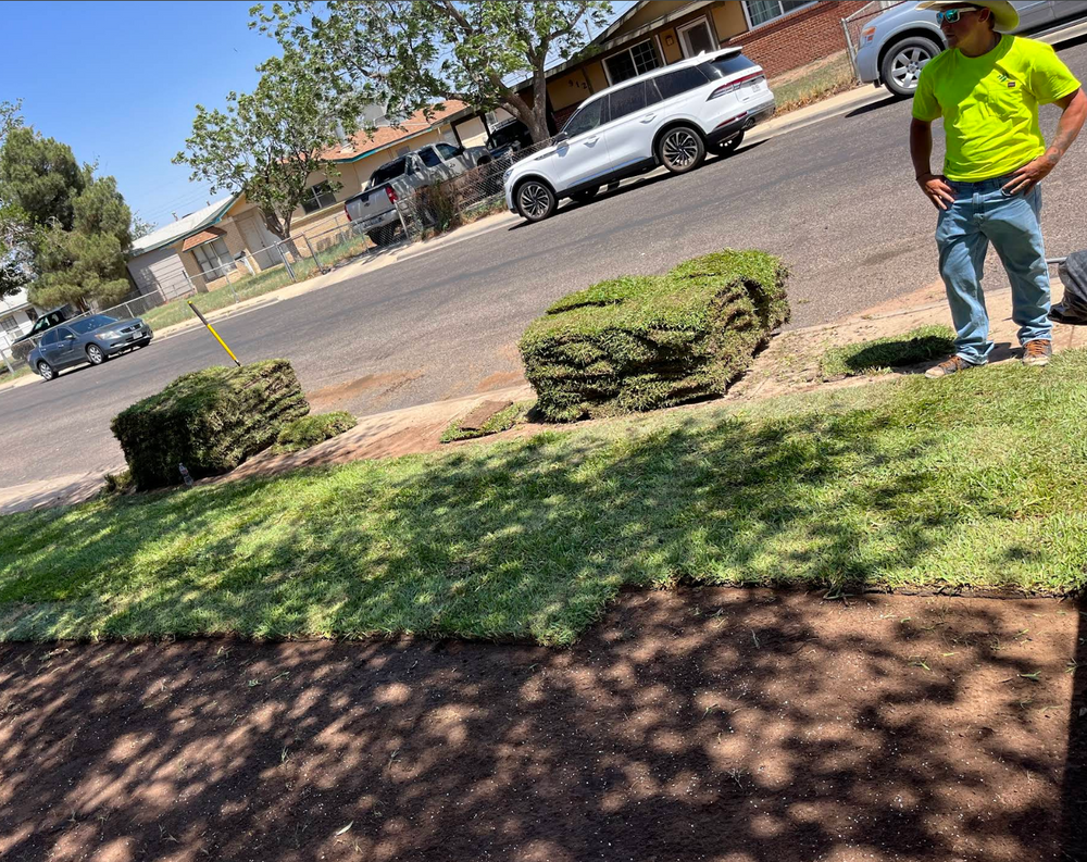 Transform your lawn instantly with our professional sodding service. We provide freshly cut, healthy sod for a lush, green landscape that enhances curb appeal and provides an immediate aesthetic upgrade to your yard. for Stone's Tree Services and Landscaping in Midland, TX