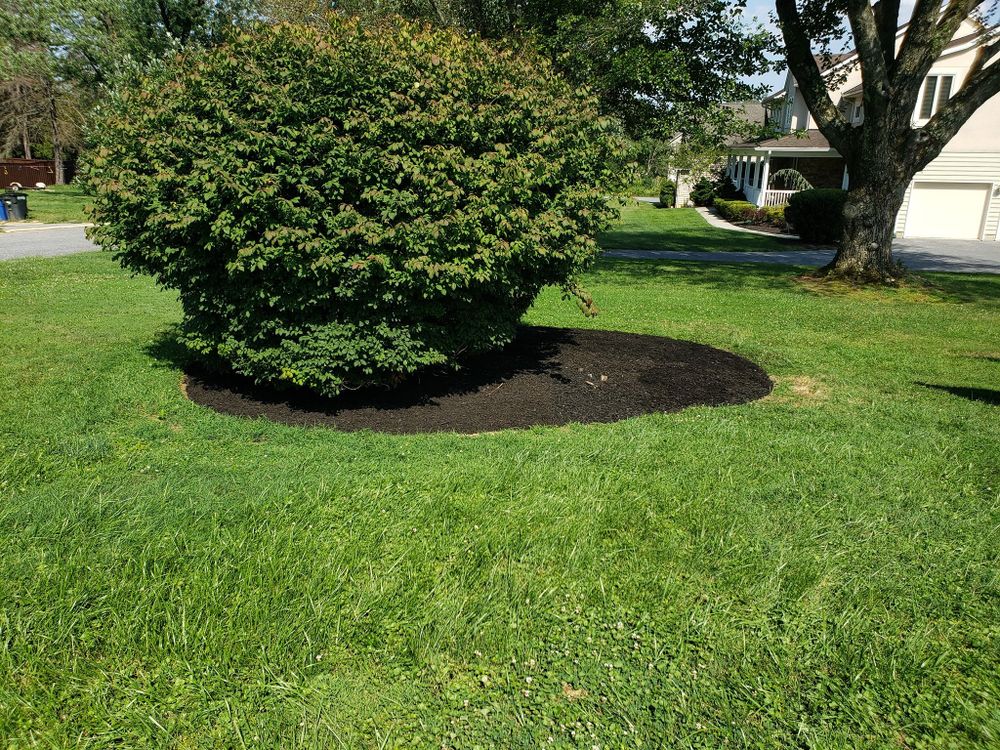 Landscaping for L & A Lawn Care, LLC in Manchester, MD