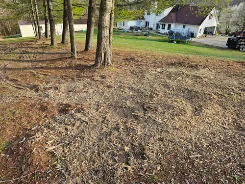 Our Fall and Spring Clean Up service includes leaf removal, debris clearing, lawn mowing, and basic landscaping to keep your yard looking pristine year-round. Let us take care of the hard work for you! for Lawnscapers TN in White House, TN