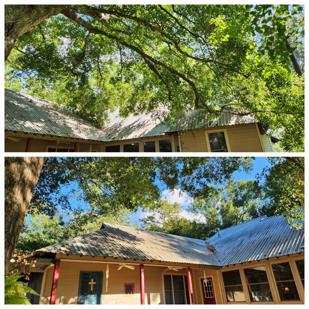 Tree Removal for Ken's Elite Cutters LLC  in Breaux Bridge, LA