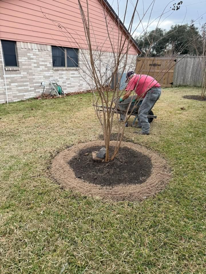 All Photos for Texas Curb N Borders in Houston, TX