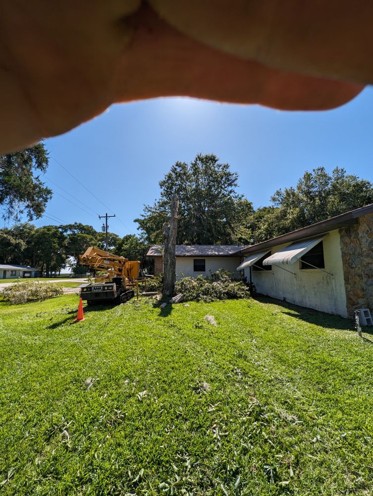All Photos for Regal Tree Service and Stump Grinding in Wauchula, FL