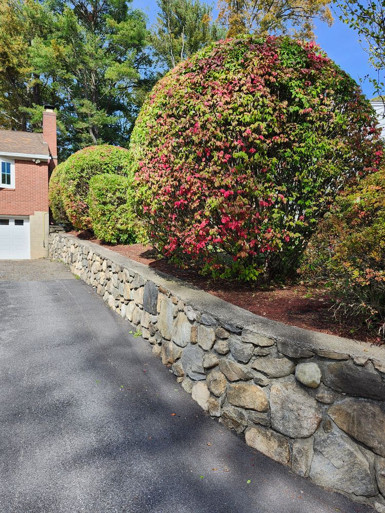 All Photos for Landscape Innovations LLC in Torrington, CT