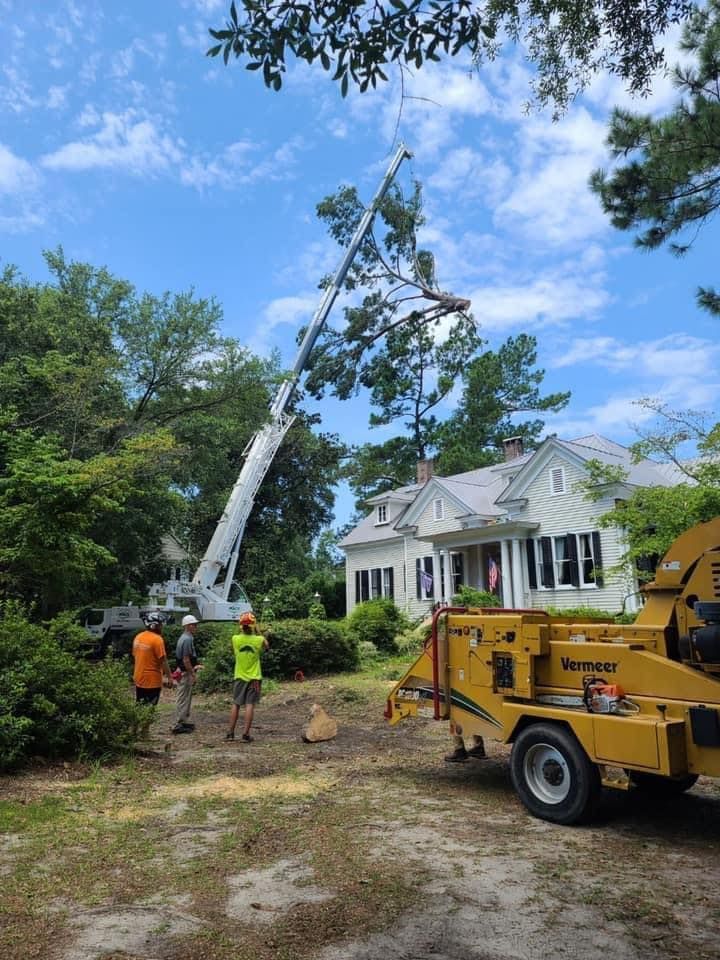 Tree Removal for Coastal Tree & Stump in Charleston, SC