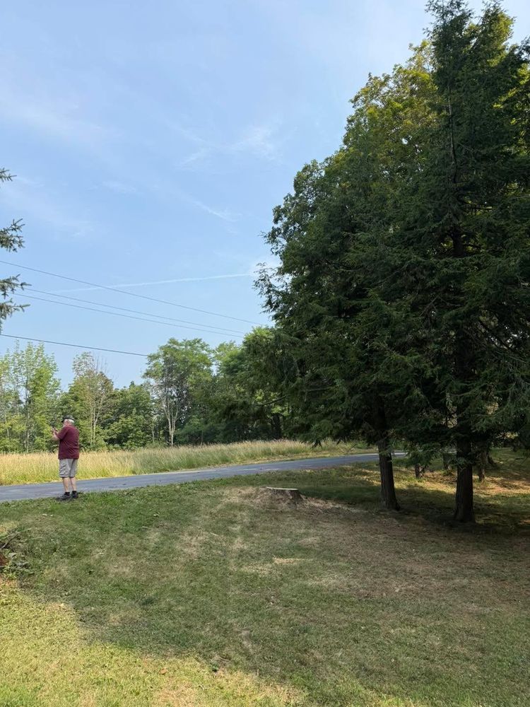 All Photos for Sterlings Tree Removal in Cobleskill, New York